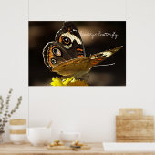 Mooie Buckeye Butterfly op een gele ventilator Poster (Keuken)