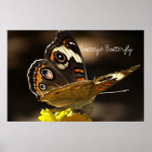 Mooie Buckeye Butterfly op een gele ventilator Poster (Voorkant)