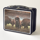 Mooie Buffalo Herd (Voorkant)