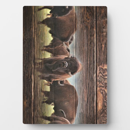 Mooie Buffalo Herd Fotoplaat (voorkant)