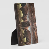 Mooie Buffalo Herd Fotoplaat (Zijkant)
