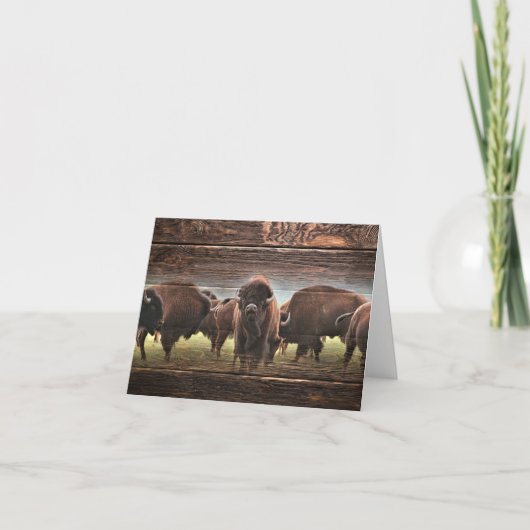 Mooie Buffalo Herd Kaart (Voorkant)