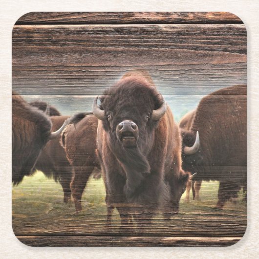 Mooie Buffalo Herd Kartonnen Onderzetters (Voorkant)