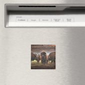 Mooie Buffalo Herd Magneet (Insitu (Vaatwasser))