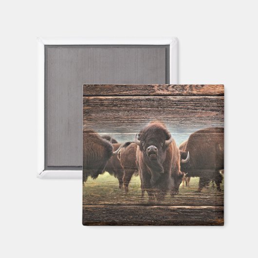 Mooie Buffalo Herd Magneet (Voorkant / Achterkant)