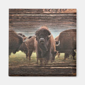 Mooie Buffalo Herd Magneet (Voorkant)