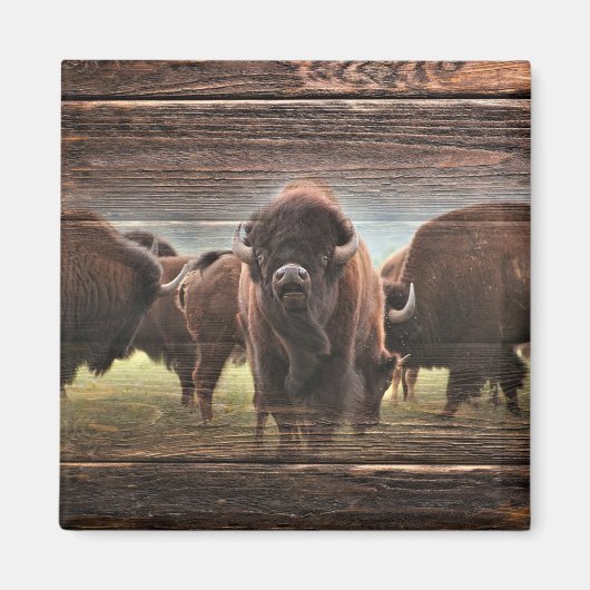Mooie Buffalo Herd Magneet (Voorkant)