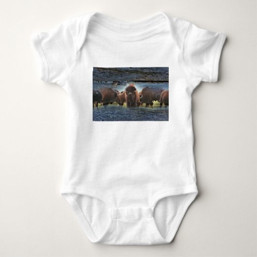 Mooie Buffalo Herd Romper (Voorkant)