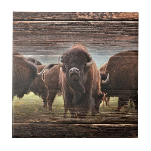 Mooie Buffalo Herd Tegeltje (Voorkant)