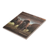 Mooie Buffalo Herd Tegeltje (Zijkant)