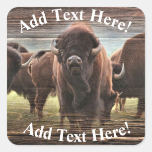 Mooie Buffalo Herd Vierkante Sticker