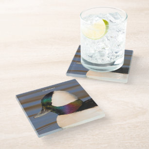 Mooie Bufflehead Duck in de middags-zon Glazen Onderzetter