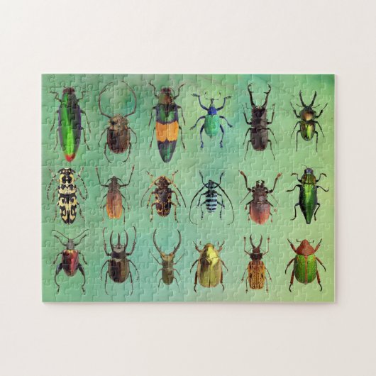 Mooie bugs Beetle Mania Puzzle Legpuzzel (Horizontaal)