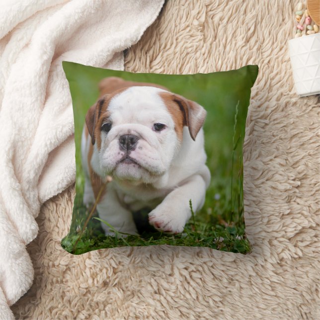 Mooie bulldog puppy kussen (Deken)