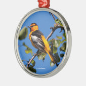 Mooie Bullock's Oriole de Pear Tree Metalen Ornament (Links)