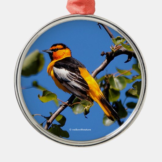 Mooie Bullock's Oriole de Pear Tree Metalen Ornament (Voorkant)