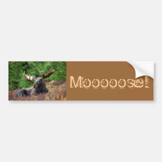 Mooie! Bumpersticker
