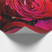 Mooie bundel rode rozen cadeaupapier (Hoek)