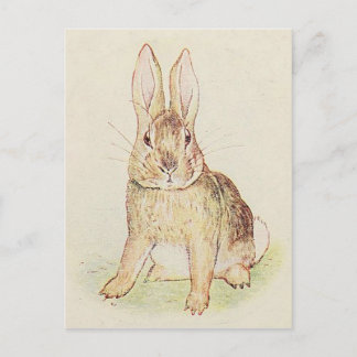 Mooie Bunny Briefkaart