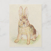 Mooie Bunny Briefkaart (Voorkant)