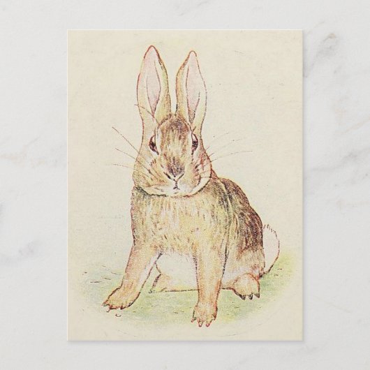Mooie Bunny Briefkaart (Voorkant)