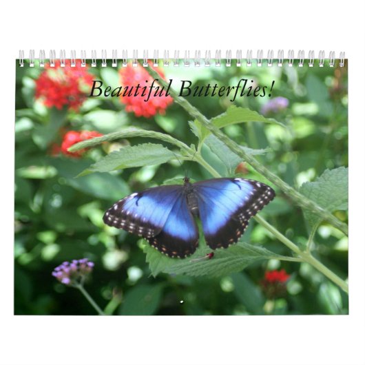 Mooie Butterflies-agenda Kalender (Hoes)