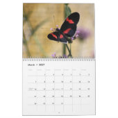 Mooie Butterflies-agenda Kalender (Mar 2027)