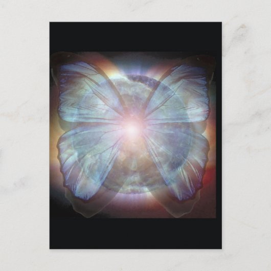 Mooie Butterflies Briefkaart (Voorkant)