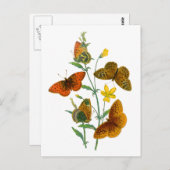 Mooie Butterflies Briefkaart (Voorkant / Achterkant)