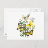 Mooie Butterflies Briefkaart (Voorkant / Achterkant)