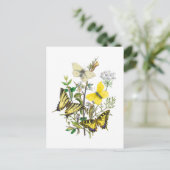 Mooie Butterflies Briefkaart (Staand voorkant)