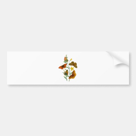 Mooie Butterflies Bumpersticker (Voorkant)