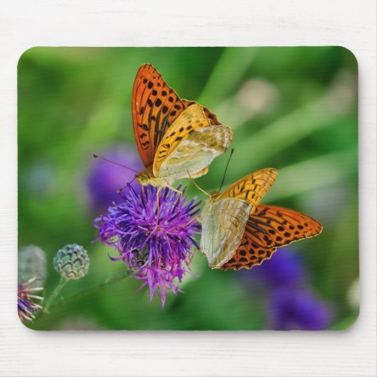 Mooie Butterflies Muismat (Voorkant)