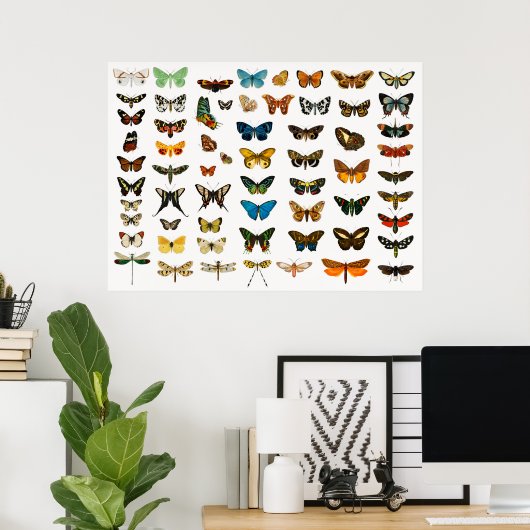 Mooie Butterflies Poster (Thuiskantoor)
