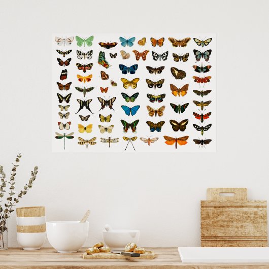 Mooie Butterflies Poster (Keuken)
