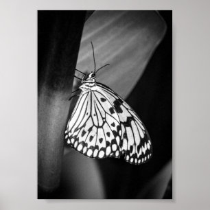 Mooie Butterfly Black en White Archival Poster