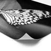 Mooie Butterfly Black en White Archival Poster (Hoek)