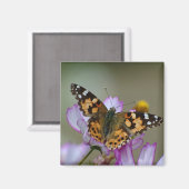 Mooie Butterfly Magnet (Voorkant / Achterkant)