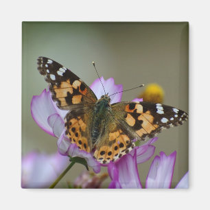 Mooie Butterfly Magnet