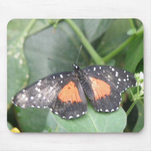 Mooie Butterfly Mousepad Muismat (Voorkant)