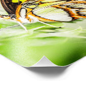 Mooie Butterfly-Natuur snijdt Foto Afdruk (Hoek)