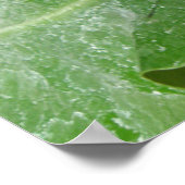 Mooie Butterfly-printer Poster (Hoek)