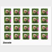 Mooie Butterfly-sticker set Vierkante Sticker (Vel)