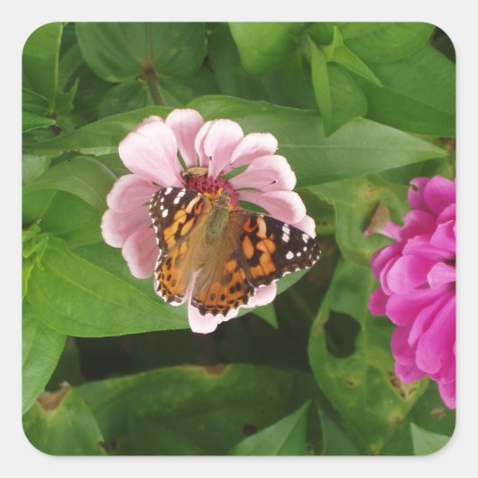 Mooie Butterfly-sticker set Vierkante Sticker (Voorkant)