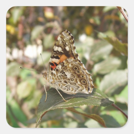 Mooie Butterfly-sticker set Vierkante Sticker (Voorkant)