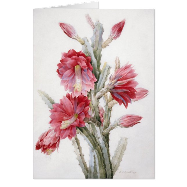 Mooie Cactus Bloom Waterverf Art (Voorkant)