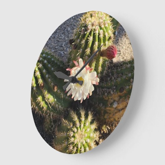 Mooie Cactus Flower Grote Klok (Hoek)