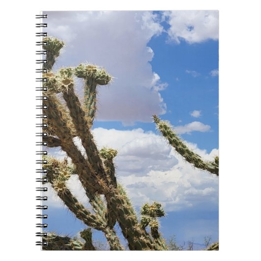 Mooie Cactus foto Notitieboek (Voorkant)
