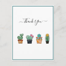 Mooie Cactus Groene Bloem