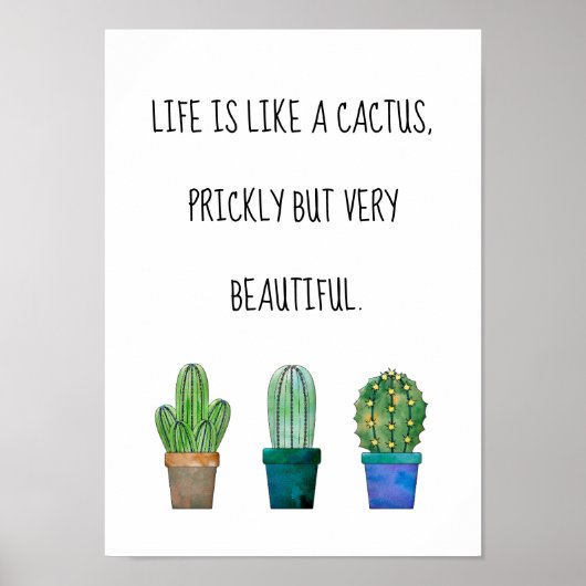 Mooie cactus met drie cactus tekeningen poster (Voorkant)